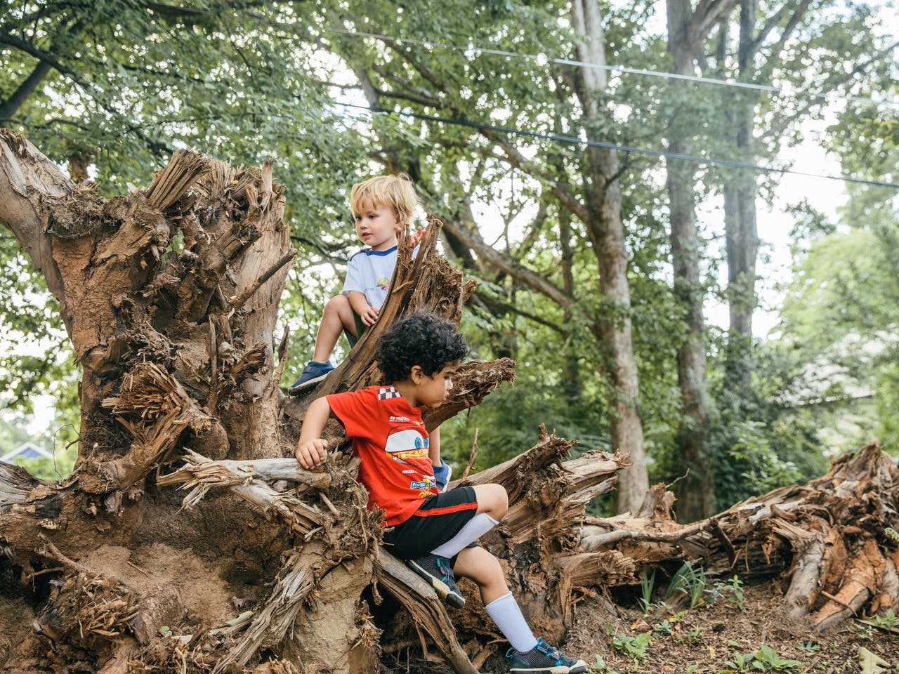 Two young boys play on a large tree trunk.