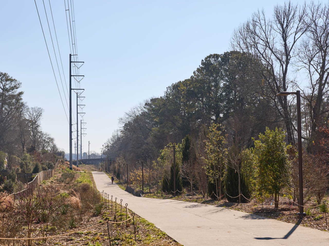 The Atlanta Beltline Arboretum lines the Northeast Trail with hundreds of trees and shrubs. (Photo Credit: Erin Sintos)