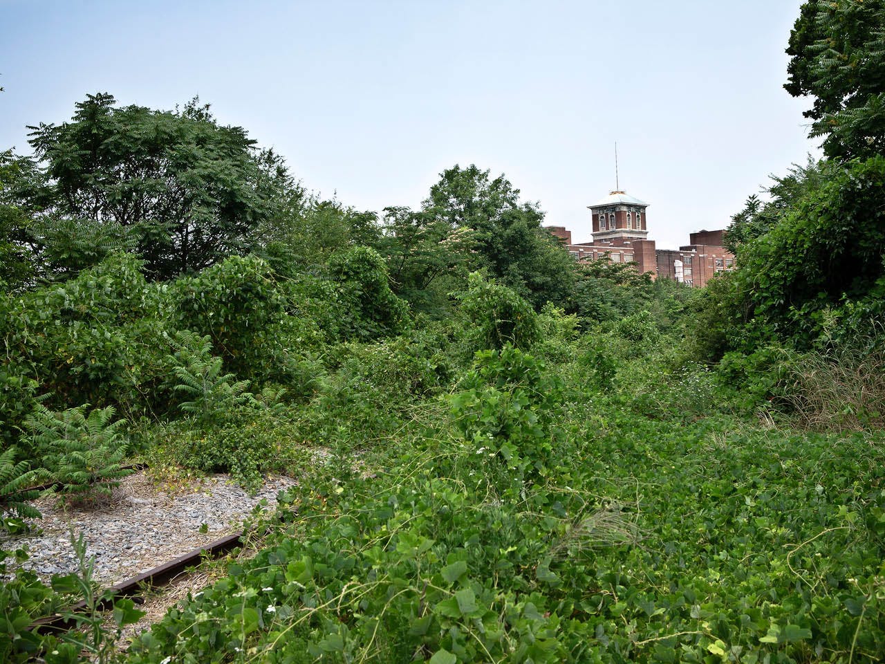 Railroad tracks overgrown with kudzu with Ponce City Market in the background in 2008 before the Beltline's Eastside Trail was built. (Photo Credit: Christopher T. Martin)