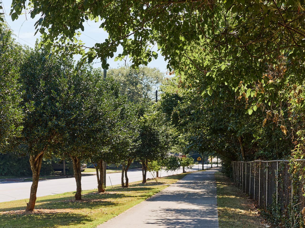 A sunny paved pathway shaded by lush green trees, with a street and parked cars on the left and a chain-link fence on the right.