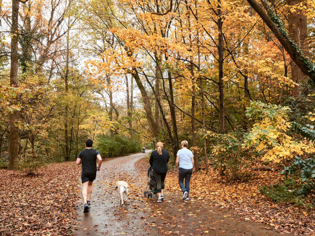 Northside Trail in autumn. Photo by Erin Sintos.