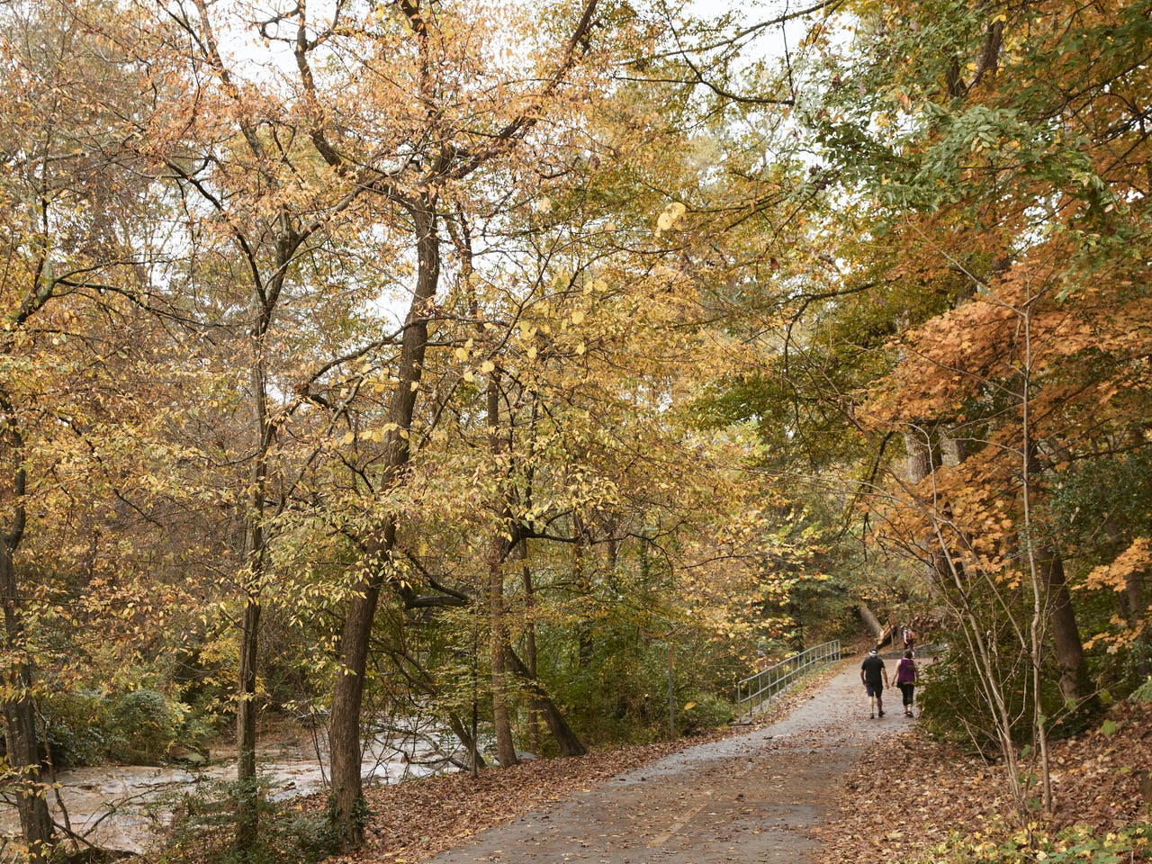 A couple walks on a path, surrounded by trees with fall colors.