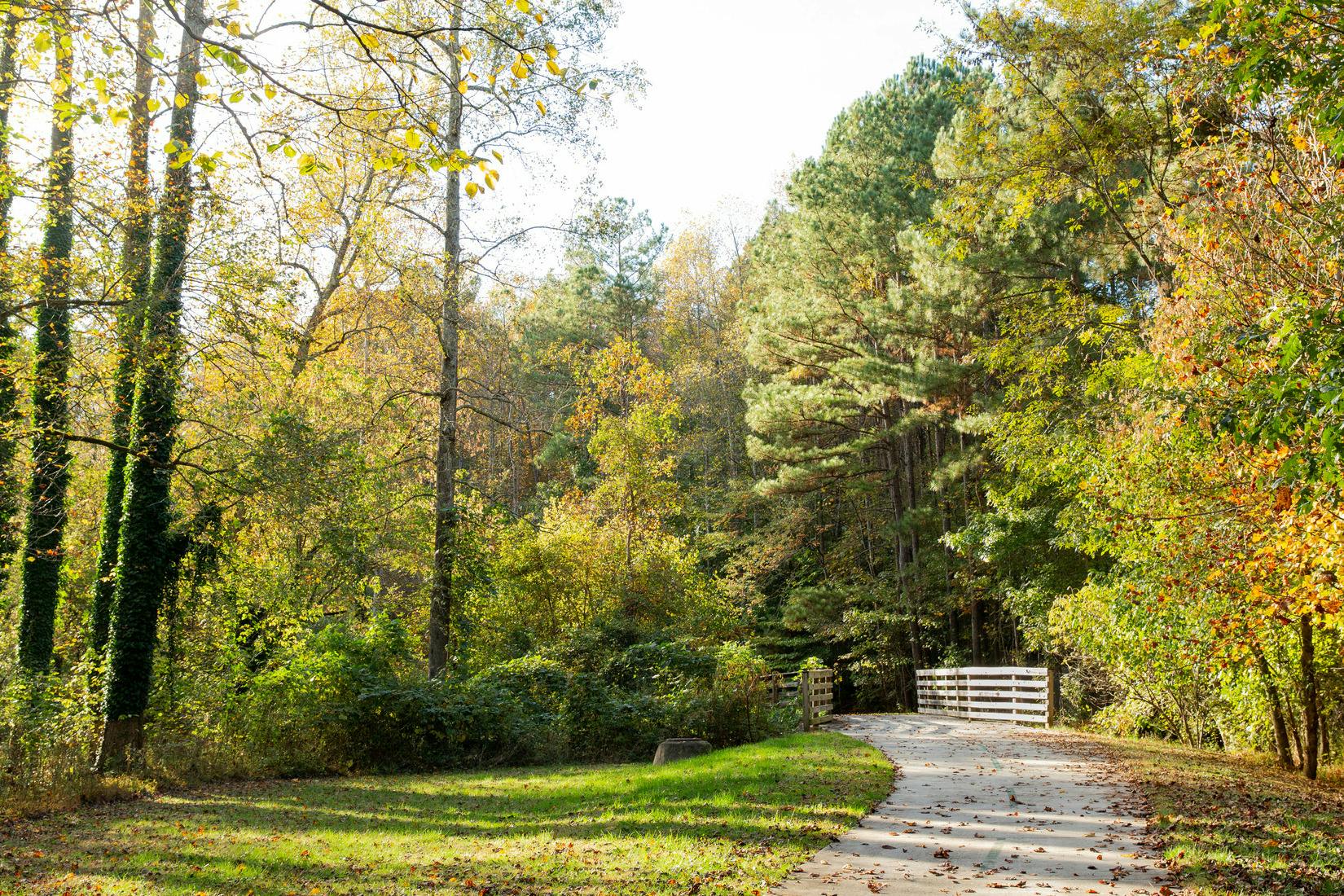 A pathway runs through trees in the fall.