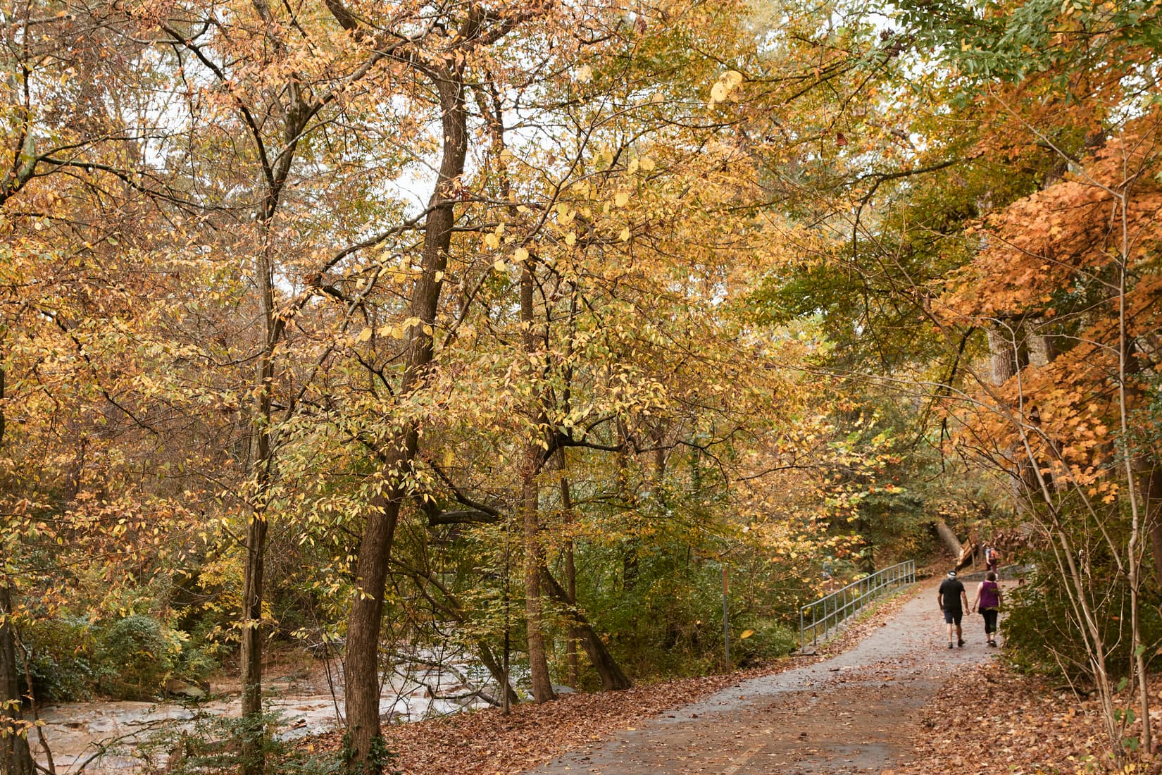 A couple walks on a path, surrounded by trees with fall colors.