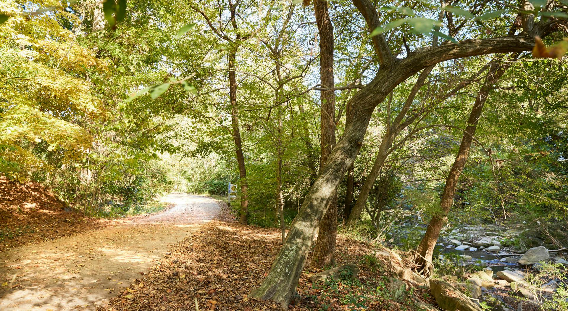 Tanyard Creek runs alongside the Beltline's Northside Trail.