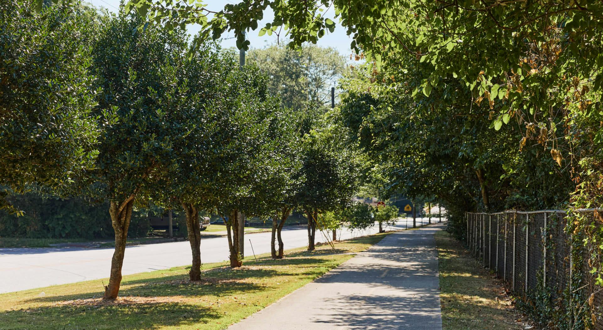 A wide, shaded sidewalk runs beside Rose Circle Park. (Photo Credit: Erin Sintos)