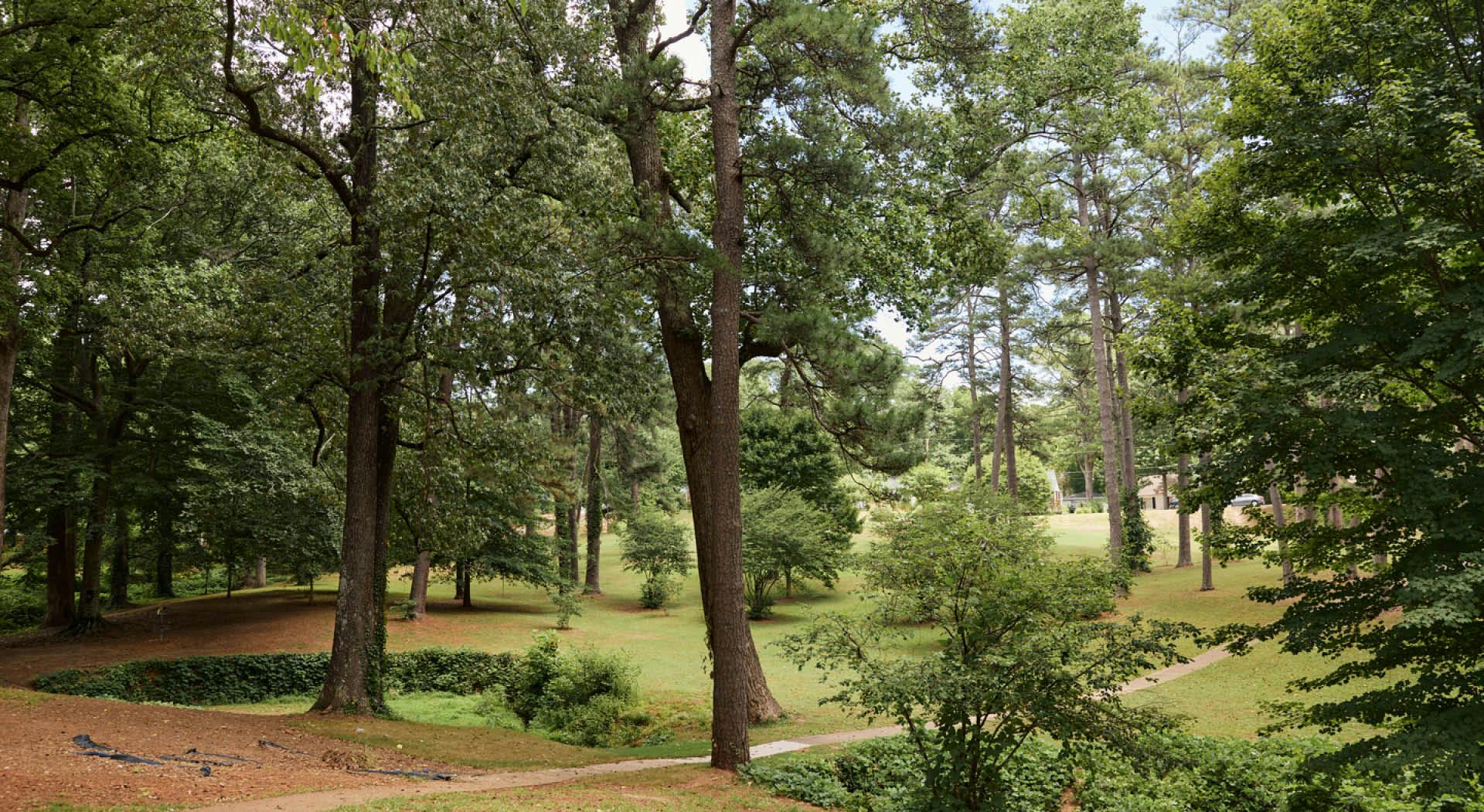 Rolling grassy hills and tall trees with a paved path in Perkerson Park. (Photo Credit: Erin Sintos)