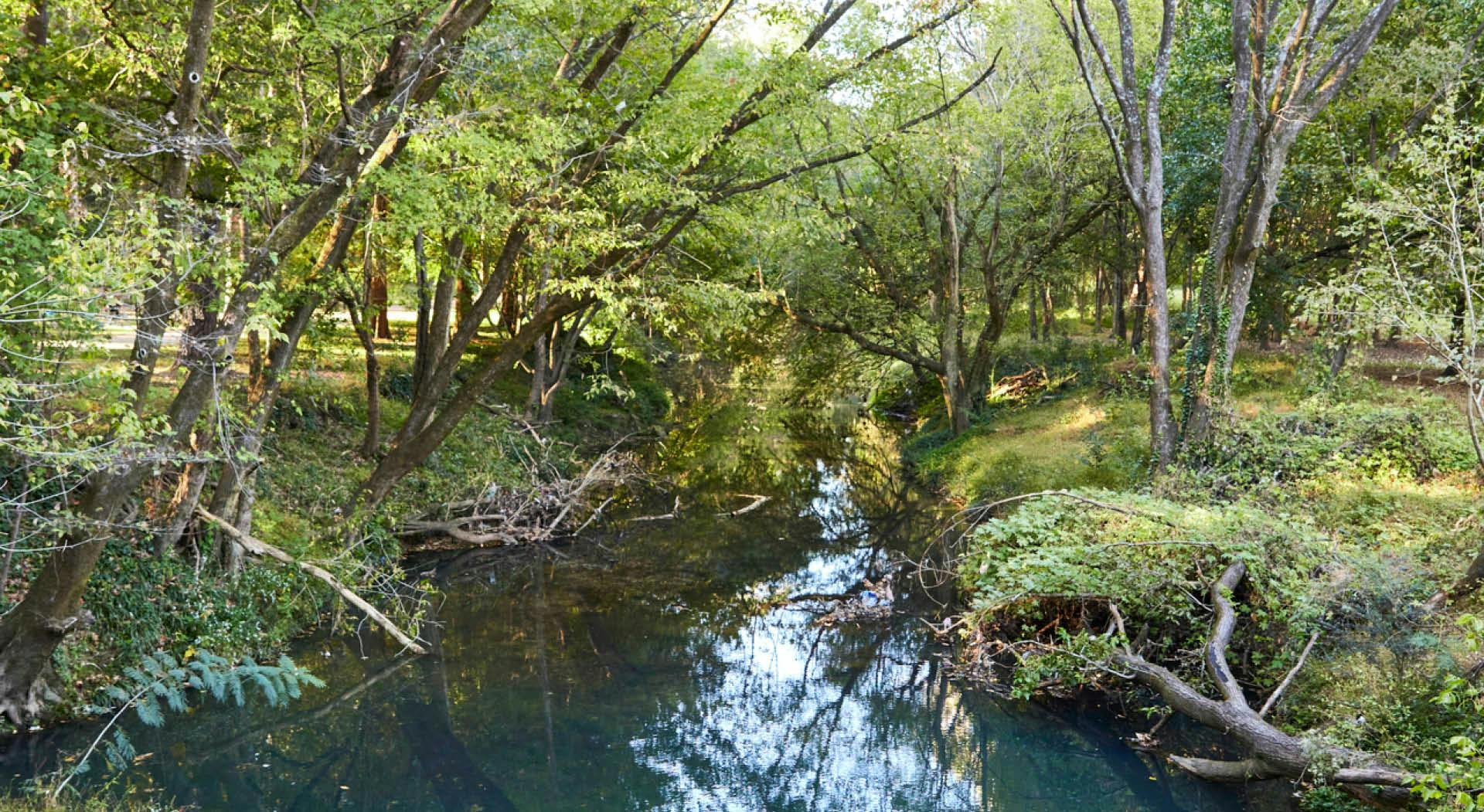 Tanyard Creek winds beside the Northside Trail and through the forest in intown Atlanta.