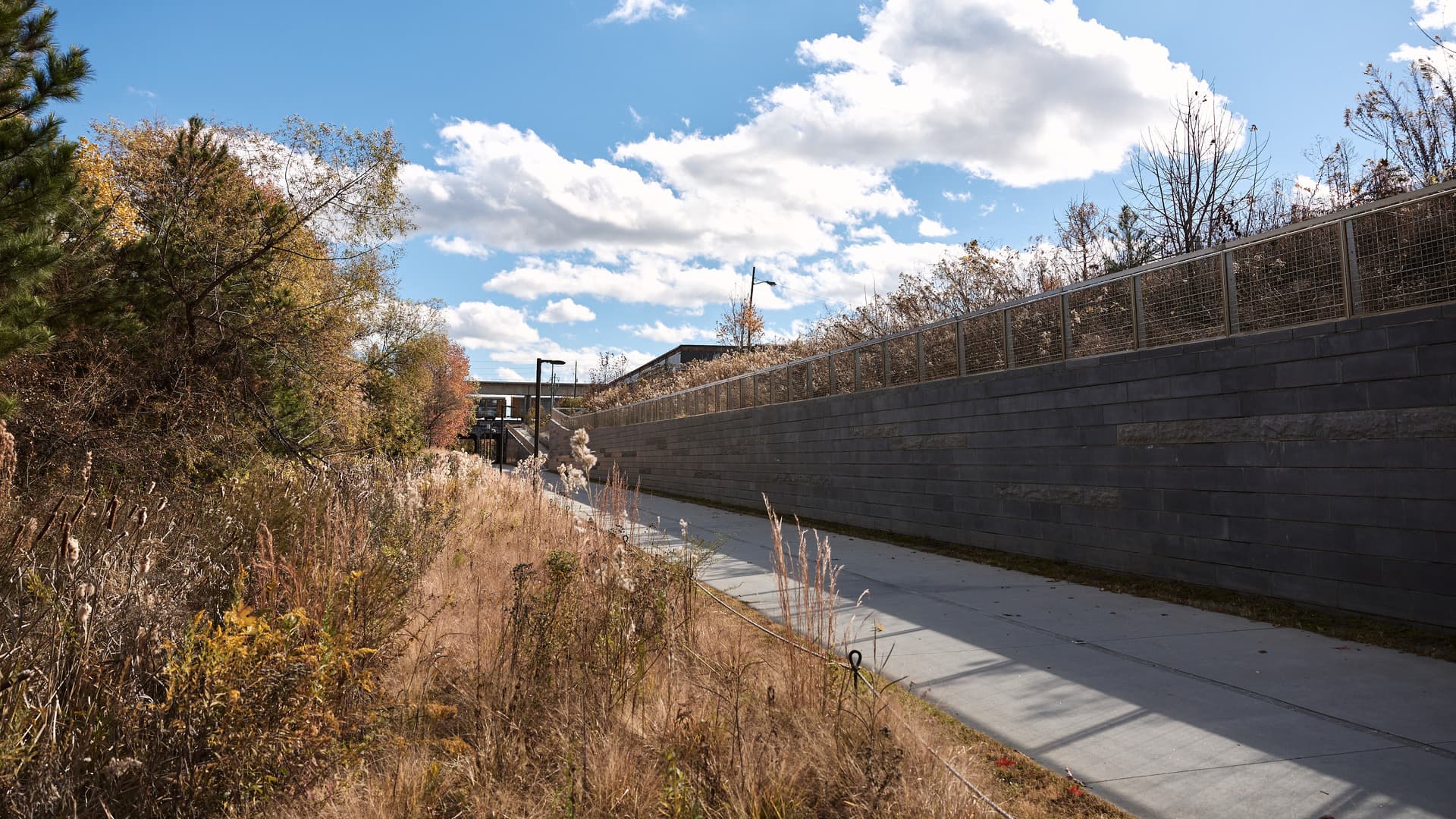 A paved trail is surrounded by nature.