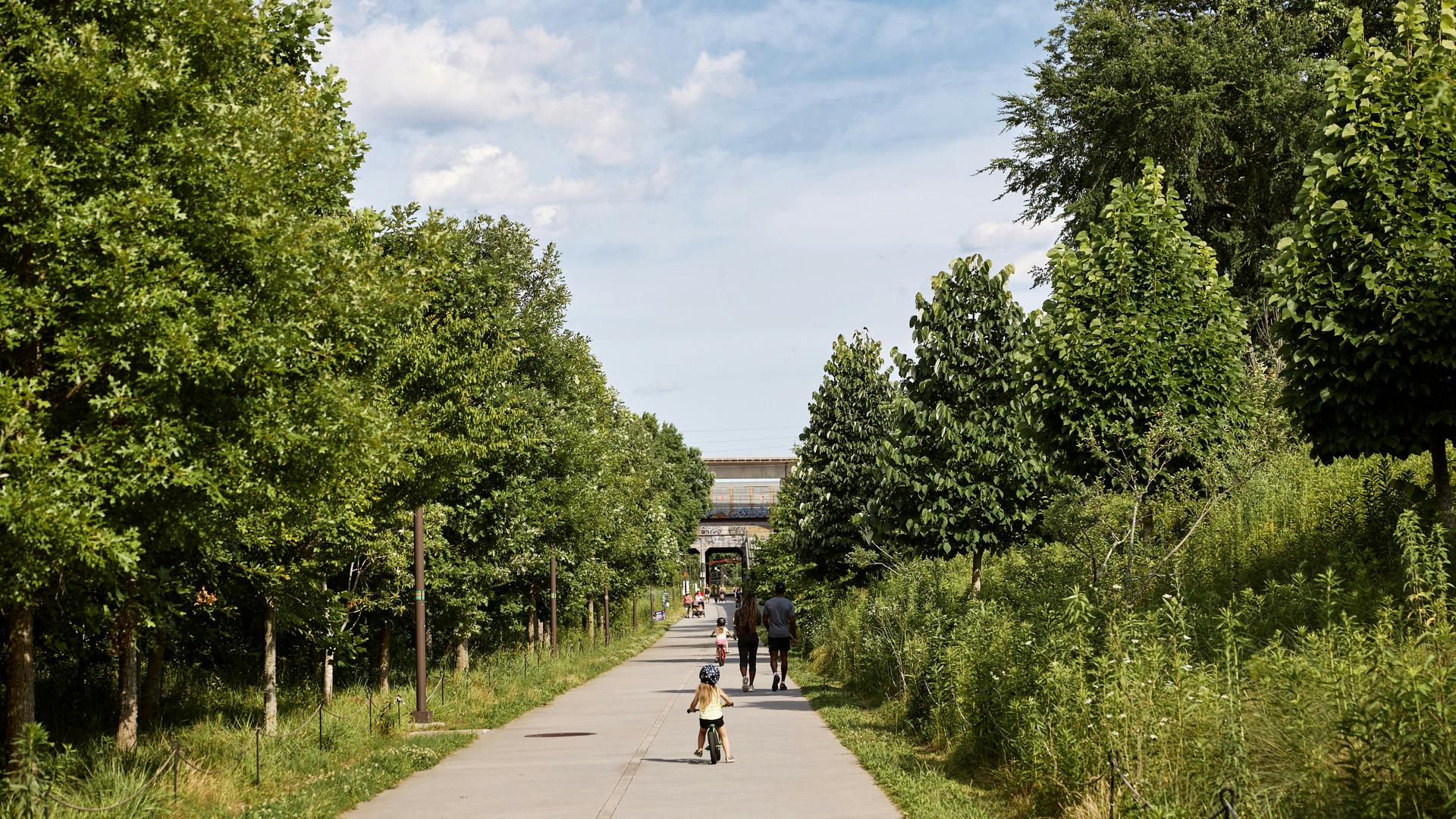 People walk along a trail surrounded by greenery.