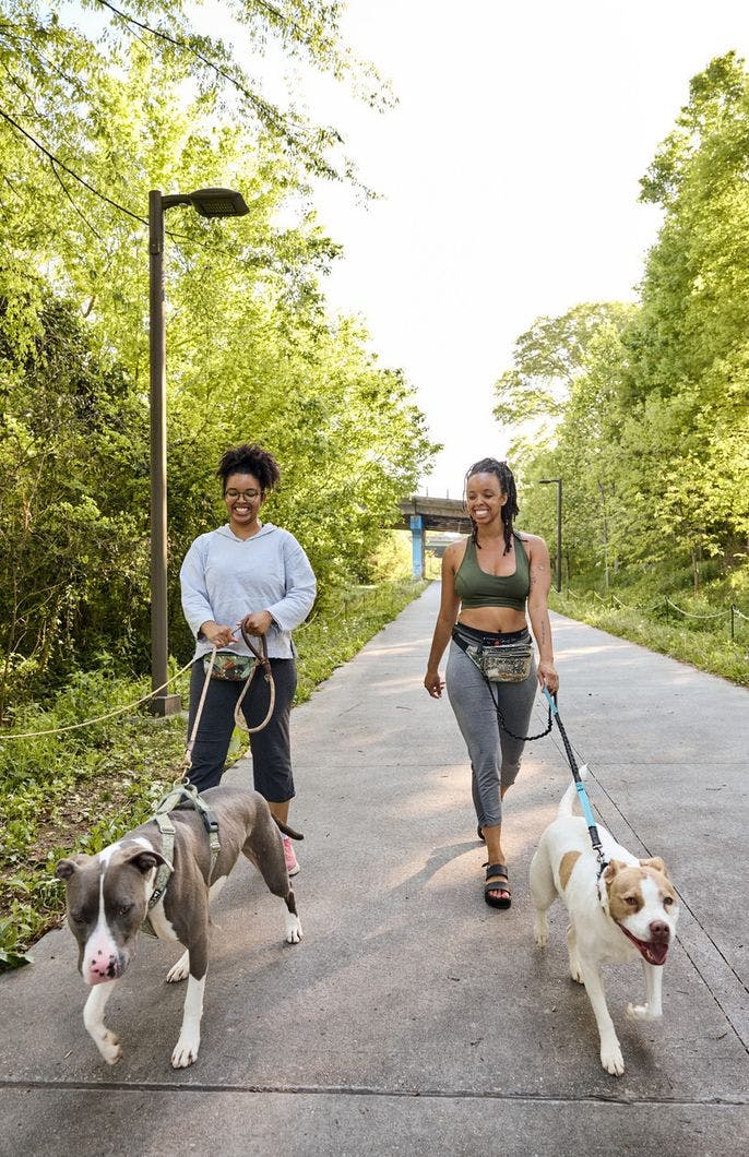 Two smiling people walk their dogs on the trail.