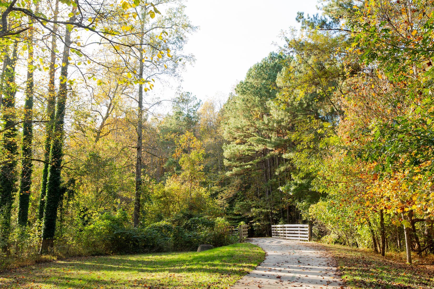 A pathway runs through trees in the fall.
