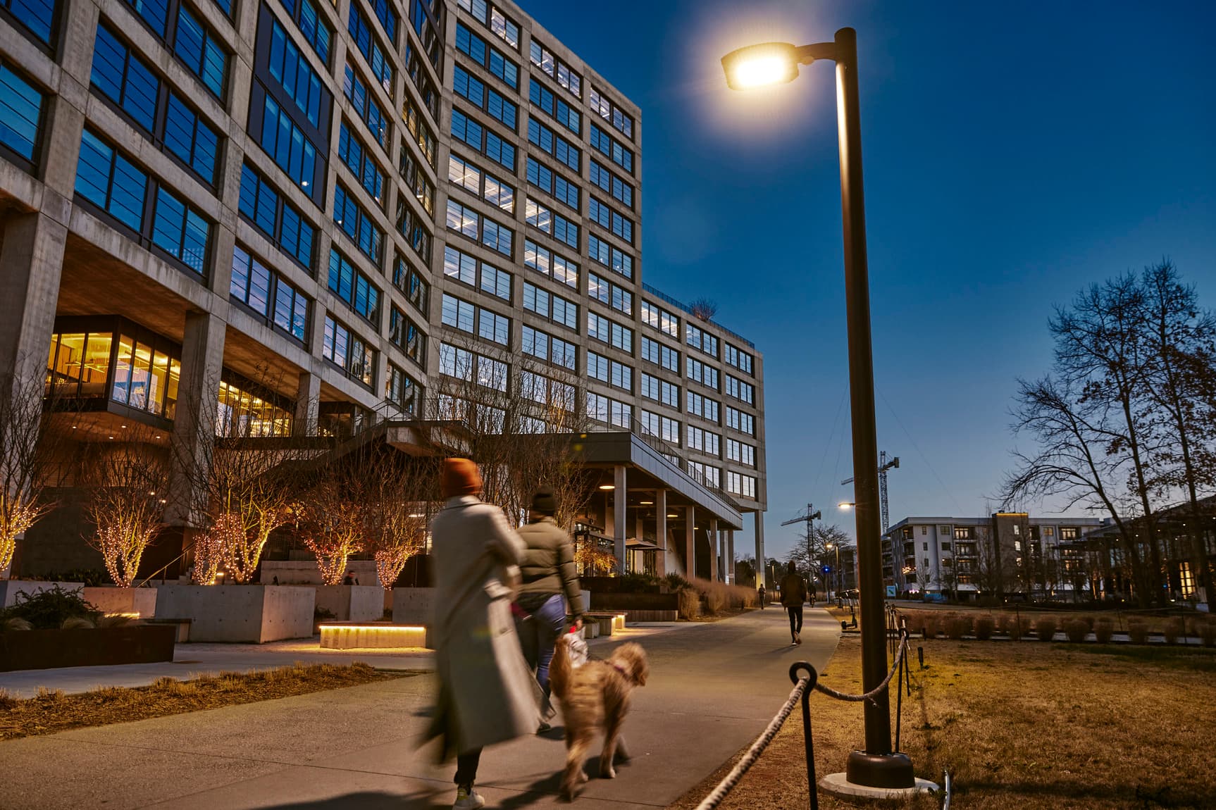 People walking a dog past a lit modern office building at dusk, with illuminated trees and streetlights.
