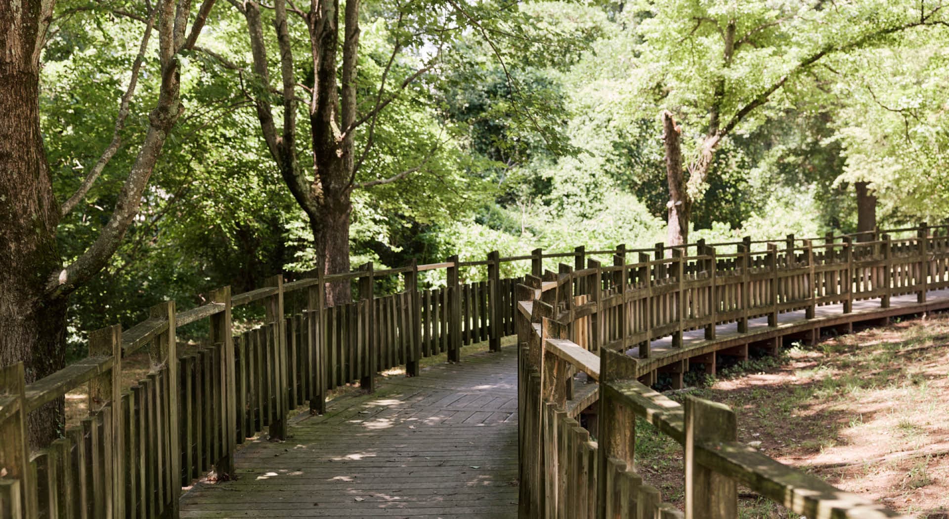 A wooden boardwalk curves in the shade under trees. (Photo Credit: Erin Sintos)