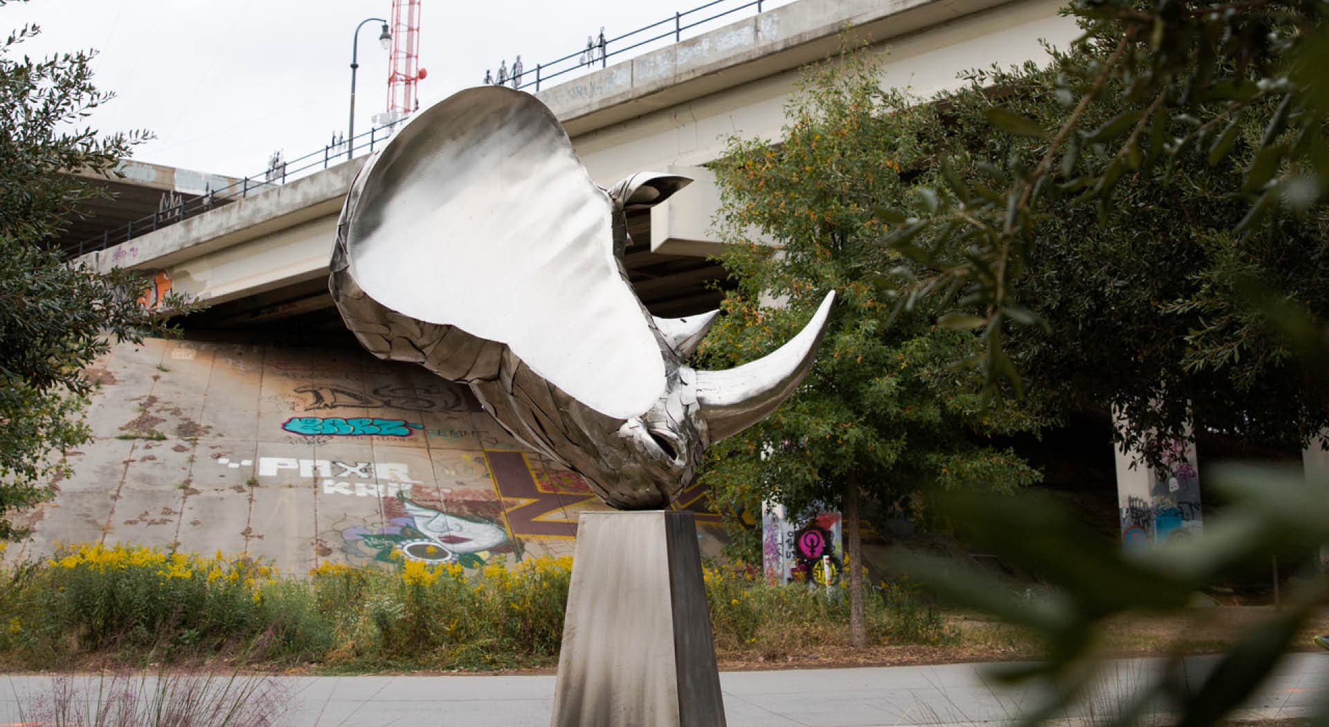 One side of a sculpture of the head of a northern white rhino by artist David Landis. (Photo Credit: Erin Sintos)