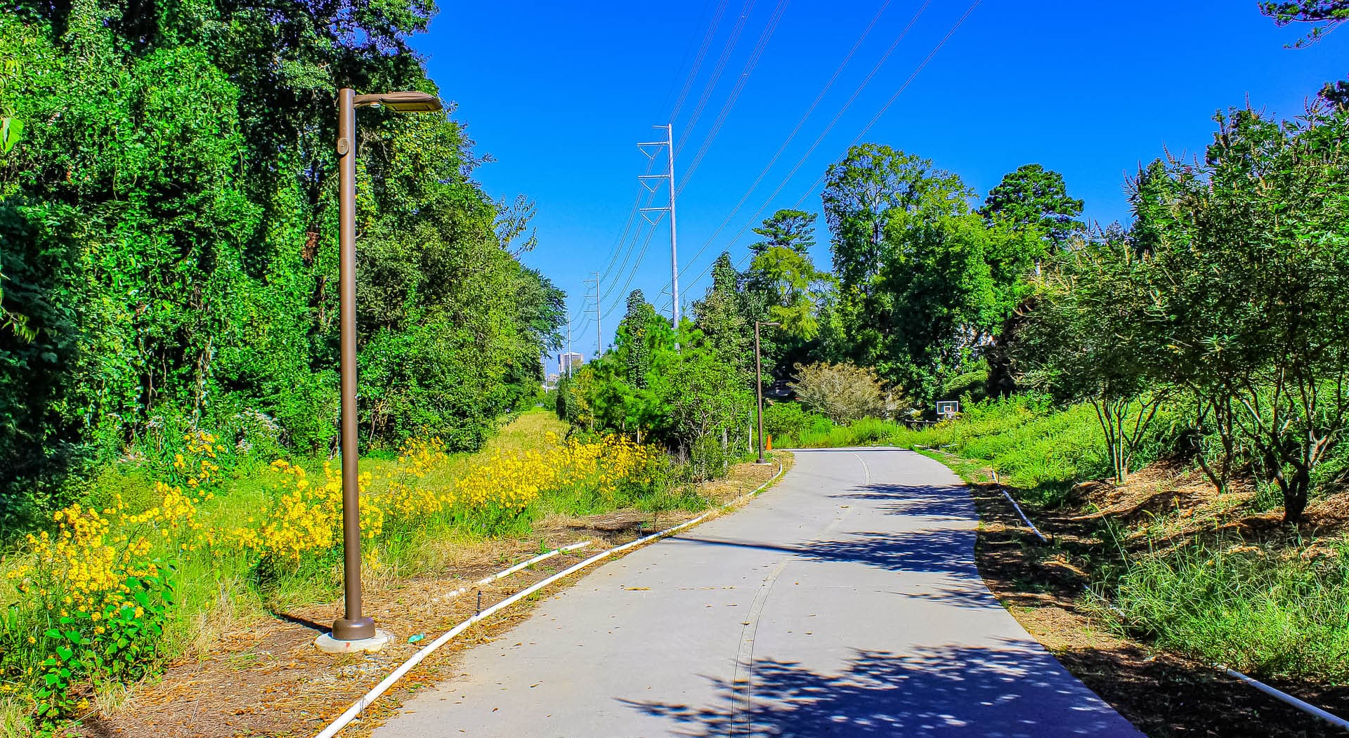 Flowers bloom amongst trees as part of the Atlanta Beltline Arboretum on the Northeast Trail. (Photo Credit: LoKnows Drones)
