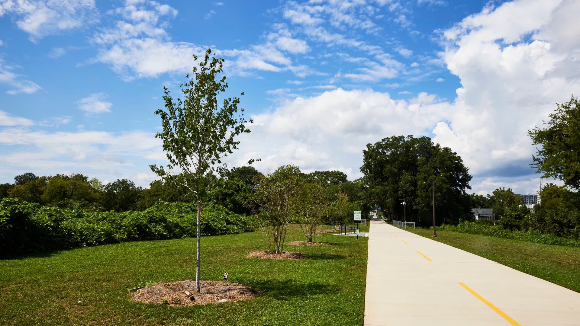 A paved pathway runs in the middle of green grass and trees.