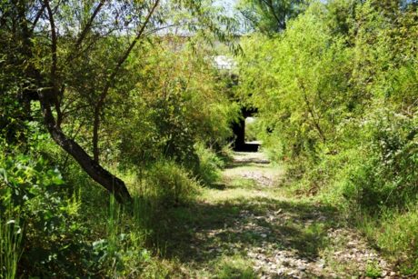 The Westside Trail was once a CSX line which became inactive in 1984. Photo: Christopher T. Martin.