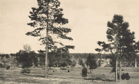 View of the grounds of Westview Cemetery, established in 1884 four miles west of downtown Atlanta, Georgia. Photo credit: Kenan Research Center at Atlanta History Center.