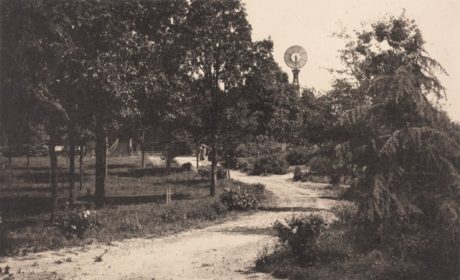 View of an unpaved road and windmill in West End, Georgia, a town later annexed into the city of Atlanta. Photo credit: Kenan Research Center at Atlanta History Center.