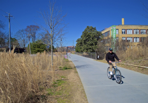 The Atlanta BeltLine Arboretum - which hugs the entire corridor - is a product of the Atlanta BeltLine Partnership's collaboration with Trees Atlanta.