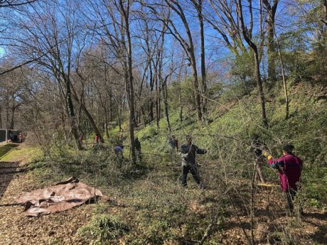 Volunteers did general clean-up and removal of invasive plants and other debris