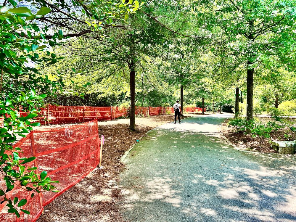 Construction fencing going in along the Carriage Trail in Piedmont Park as part of Northeast Trail - Seg. 1. August 12, 2023. Photo by John Becker.