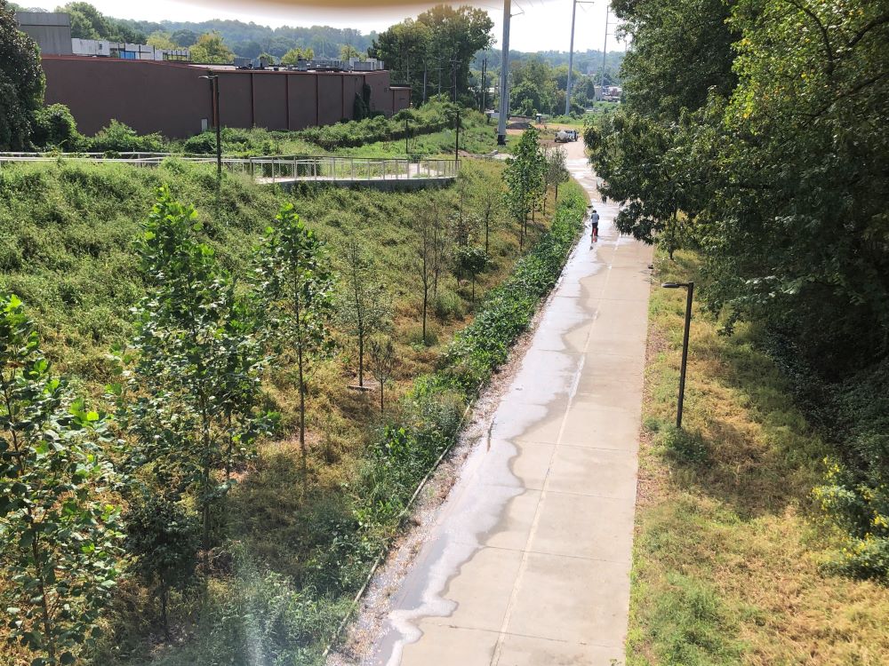 View of Northeast Trail - Segment 2 landscaping looking south from Montgomery Ferry Road. September 21, 2023. Photo by Atlanta BeltLine staff.