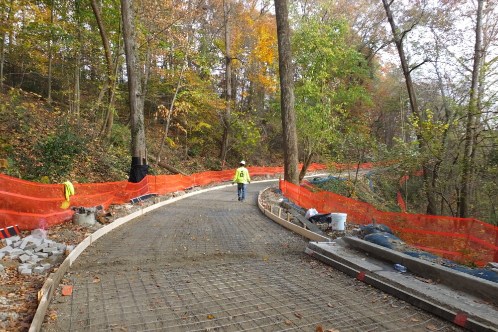 Looking north on Northeast Trail - Segment 1, the trail formwork and welded wire fabric is in place and ready for the concrete trail to be poured. ABI has worked with an arborist, Piedmont Park Conservancy, and the Atlanta Parks Department to preserve and protect trees along this trail section. November 17, 2023. Photo by Kerri Parker.